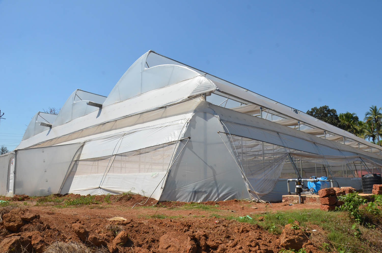 Greenhouse Project 30